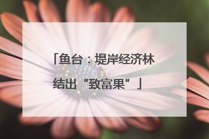 鱼台：堤岸经济林结出“致富果”