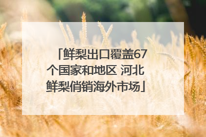 鲜梨出口覆盖67个国家和地区 河北鲜梨俏销海外市场
