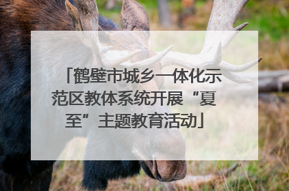 鹤壁市城乡一体化示范区教体系统开展“夏至”主题教育活动