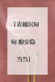 麦穗沉甸甸 粮安稳当当