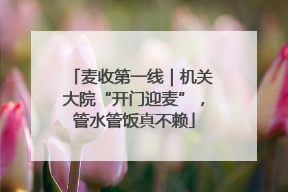 麦收第一线｜机关大院“开门迎麦”，管水管饭真不赖