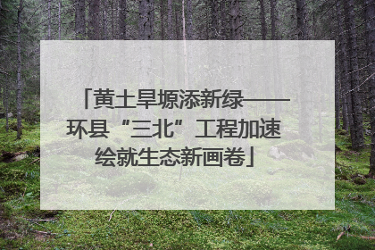 黄土旱塬添新绿——环县“三北”工程加速绘就生态新画卷