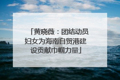 黄晓薇：团结动员妇女为海南自贸港建设贡献巾帼力量