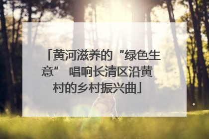 黄河滋养的“绿色生意” 唱响长清区沿黄村的乡村振兴曲