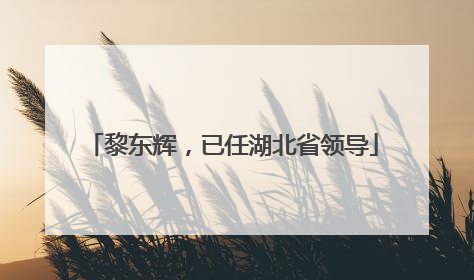 黎东辉，已任湖北省领导