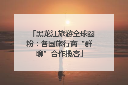黑龙江旅游全球圈粉：各国旅行商“群聊”合作揽客