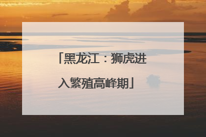 黑龙江：狮虎进入繁殖高峰期