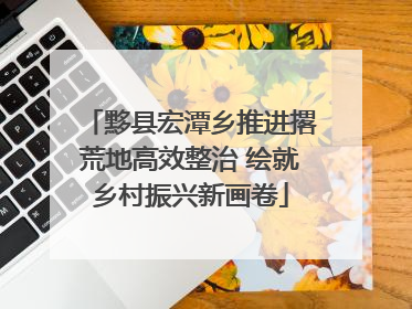 黟县宏潭乡推进撂荒地高效整治 绘就乡村振兴新画卷