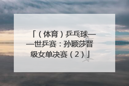 （体育）乒乓球——世乒赛：孙颖莎晋级女单决赛（2）