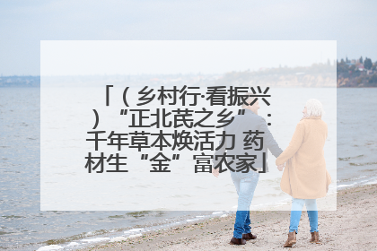 （乡村行·看振兴）“正北芪之乡”：千年草本焕活力 药材生“金”富农家