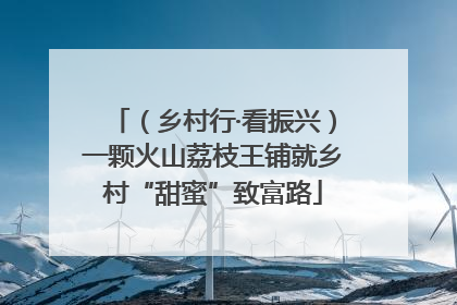 （乡村行·看振兴）一颗火山荔枝王铺就乡村“甜蜜”致富路