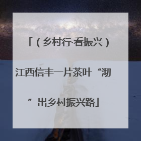（乡村行·看振兴）江西信丰一片茶叶“沏”出乡村振兴路