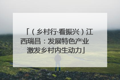 （乡村行·看振兴）江西瑞昌：发展特色产业 激发乡村内生动力