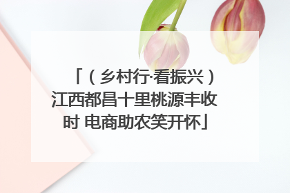 （乡村行·看振兴）江西都昌十里桃源丰收时 电商助农笑开怀