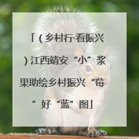 （乡村行·看振兴）江西靖安“小”浆果助绘乡村振兴“莓”好“蓝”图