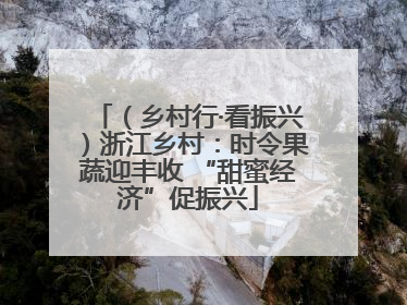 （乡村行·看振兴）浙江乡村：时令果蔬迎丰收 “甜蜜经济”促振兴