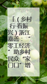 （乡村行·看振兴）浙江嘉善：“零工经济”助乡村民众“家门口”增收