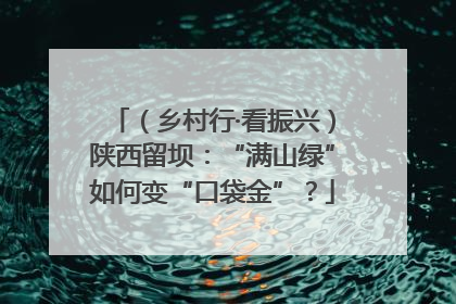 （乡村行·看振兴）陕西留坝：“满山绿”如何变“口袋金”？