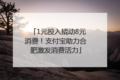 1元投入撬动8元消费！支付宝助力合肥激发消费活力