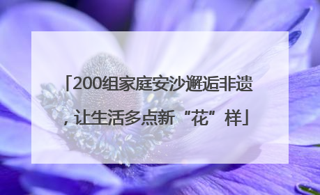 200组家庭安沙邂逅非遗，让生活多点新“花”样