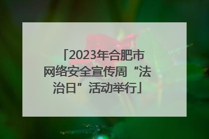 2023年合肥市网络安全宣传周“法治日”活动举行
