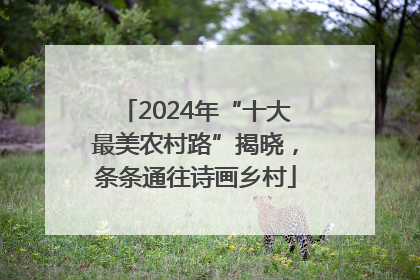 2024年“十大最美农村路”揭晓，条条通往诗画乡村