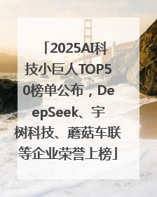 2025AI科技小巨人TOP50榜单公布，DeepSeek、宇树科技、蘑菇车联等企业荣誉上榜