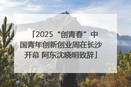 2025“创青春”中国青年创新创业周在长沙开幕 阿东沈晓明致辞