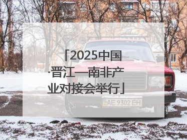 2025中国·晋江—南非产业对接会举行