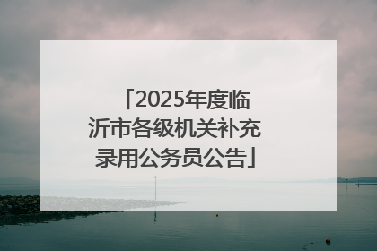 2025年度临沂市各级机关补充录用公务员公告