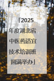 2025年度湖北省中医药适宜技术培训班圆满举办