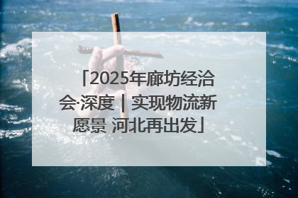 2025年廊坊经洽会·深度｜实现物流新愿景 河北再出发