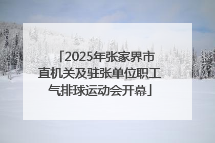 2025年张家界市直机关及驻张单位职工气排球运动会开幕