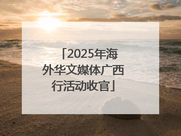 2025年海外华文媒体广西行活动收官