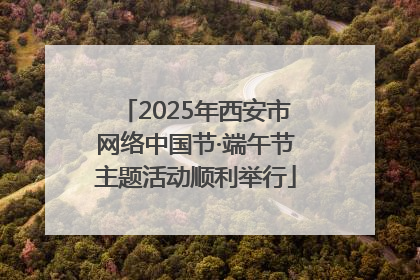 2025年西安市网络中国节·端午节主题活动顺利举行