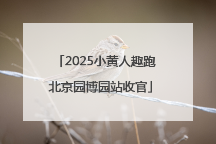 2025小黄人趣跑北京园博园站收官