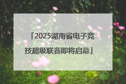 2025湖南省电子竞技超级联赛即将启幕