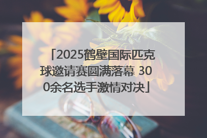 2025鹤壁国际匹克球邀请赛圆满落幕 300余名选手激情对决