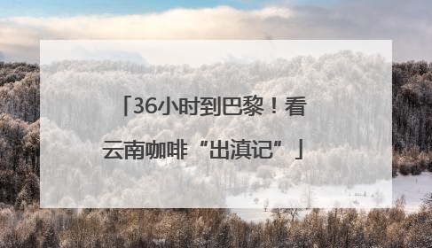 36小时到巴黎！看云南咖啡“出滇记”