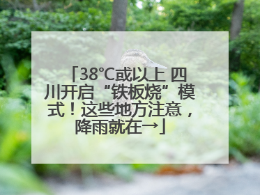 38℃或以上 四川开启“铁板烧”模式！这些地方注意，降雨就在→