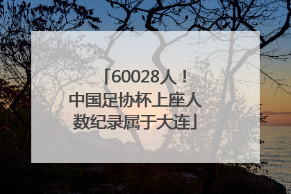 60028人！中国足协杯上座人数纪录属于大连