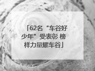 62名“车谷好少年”受表彰 榜样力量耀车谷