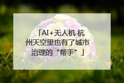 AI+无人机 杭州天空里也有了城市治理的“帮手”