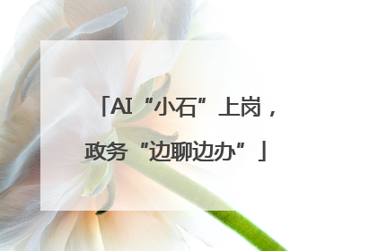 AI“小石”上岗，政务“边聊边办”