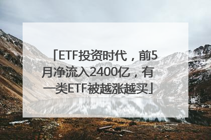 ETF投资时代，前5月净流入2400亿，有一类ETF被越涨越买