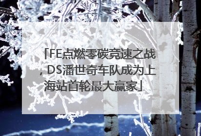 FE点燃零碳竞速之战，DS潘世奇车队成为上海站首轮最大赢家