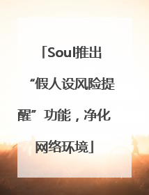 Soul推出“假人设风险提醒”功能，净化网络环境
