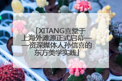 XITANG喜堂于上海外滩源正式启幕——资深媒体人孙信喜的东方美学实践
